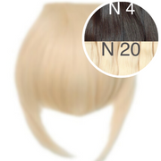 Bangs Color _4/20 GVA hair_One donor line.