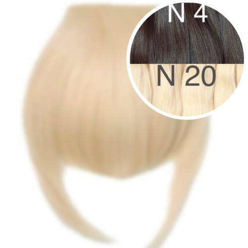 Bangs Color _4/20 GVA hair_One donor line.