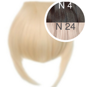 Bangs Color _4/24 GVA hair_One donor line.