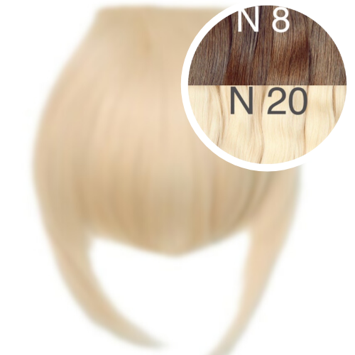 Bangs Color _8/20 GVA hair_One donor line.