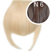 Bangs Color 6 GVA hair_One donor line.