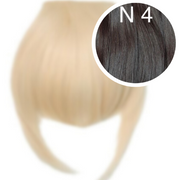 Bangs Color 4 GVA hair_One donor line.