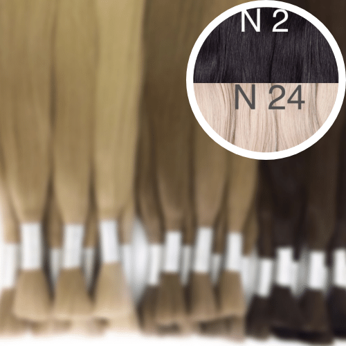 Raw Cut / Bulk Hair Color _2/24 GVA hair_One donor line.