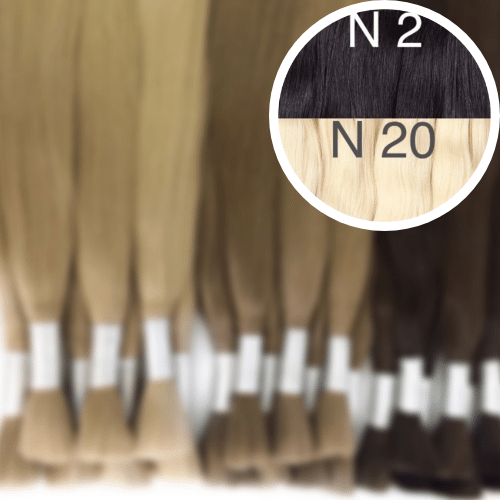 Raw Cut / Bulk Hair Color _2/20 GVA hair_One donor line.