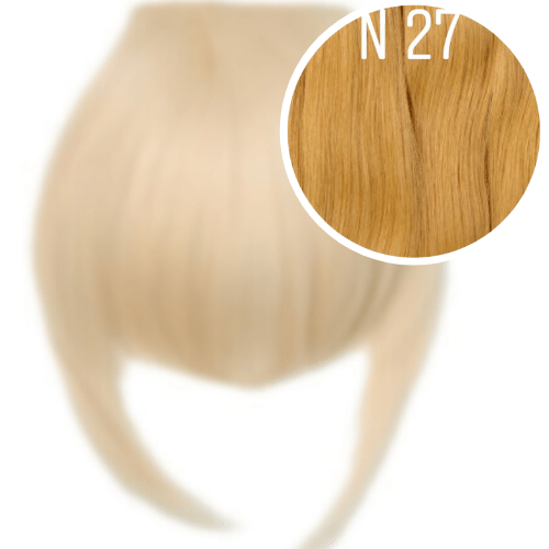 Bangs Color 27 GVA hair_One donor line.