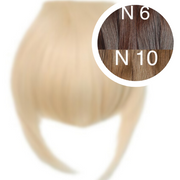 Bangs Color _6/10 GVA hair_One donor line.