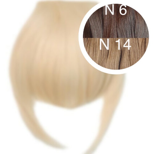 Bangs Color _6/14 GVA hair_One donor line.