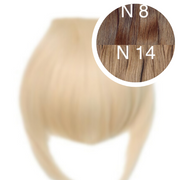 Bangs Color _8/14 GVA hair_One donor line.