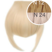 Bangs Color _12/24 GVA hair_One donor line.