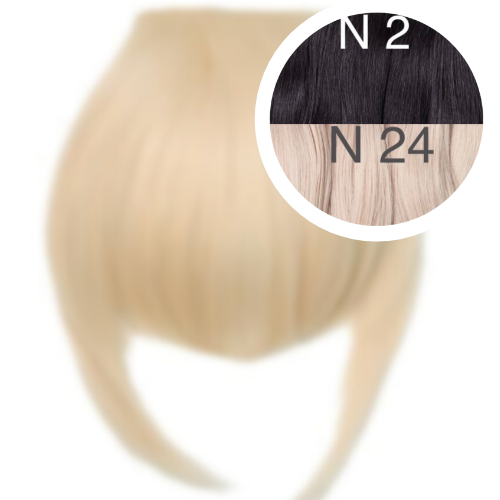 Bangs Color _2/24 GVA hair_One donor line.