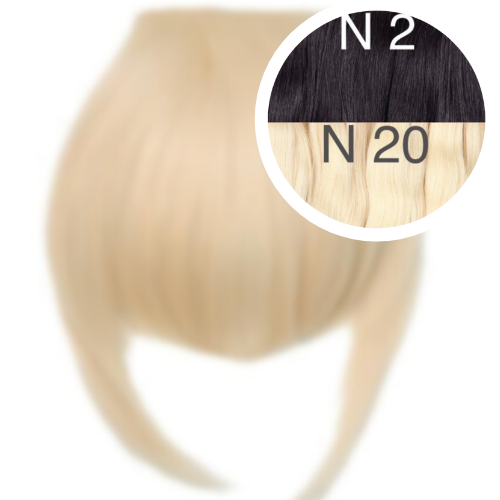 Bangs Color _2/20 GVA hair_One donor line.