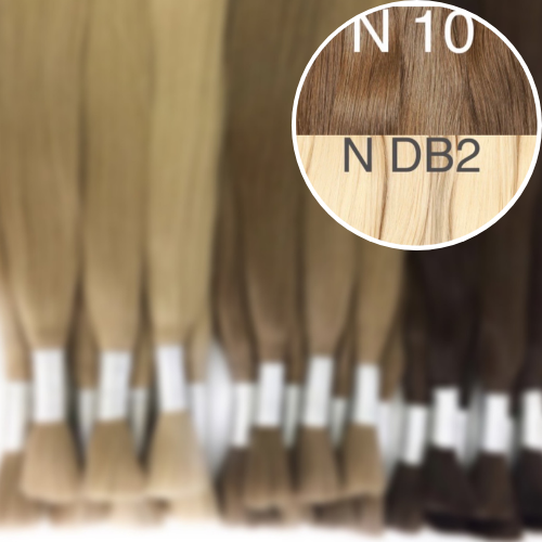 Raw Cut / Bulk Hair Color _10/DB2 GVA hair_One donor line.