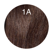 Y tips Color 1A GVA hair_Luxury line.