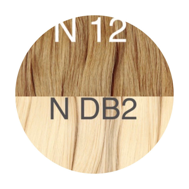 Hair Clips Color _12/DB2 GVA hair_One donor line.