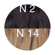 Hair Ponytail Color _2/14 GVA hair_One donor line.