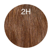 Hair Ponytail Color 2H GVA hair_Luxury line.