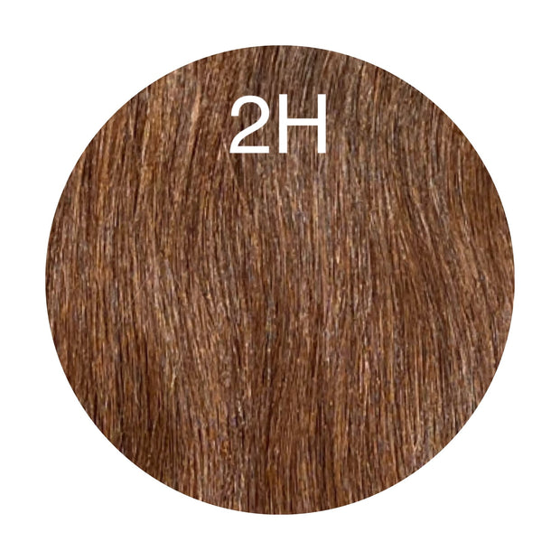 Hair Ponytail Color 2H GVA hair_Luxury line.