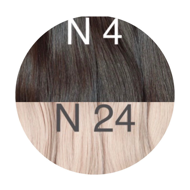 Hair Ponytail Color _4/24 GVA hair_One donor line.