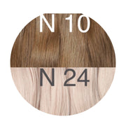 Halo Color _10/24 GVA hair_One donor line.