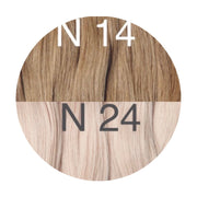 Halo Color _14/24 GVA hair_One donor line.