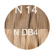 Micro links / I Tip Color _14/DB4  GVA hair_One donor line.