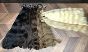 Micro links / I Tip Color _3Q/60C GVA hair_Luxury line.