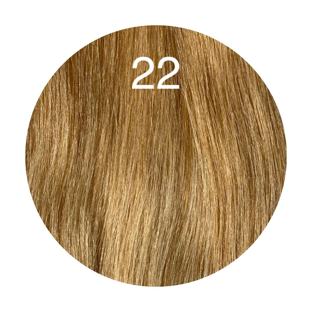 Raw Cut / Bulk Hair Color 22 GVA hair_Luxury line.