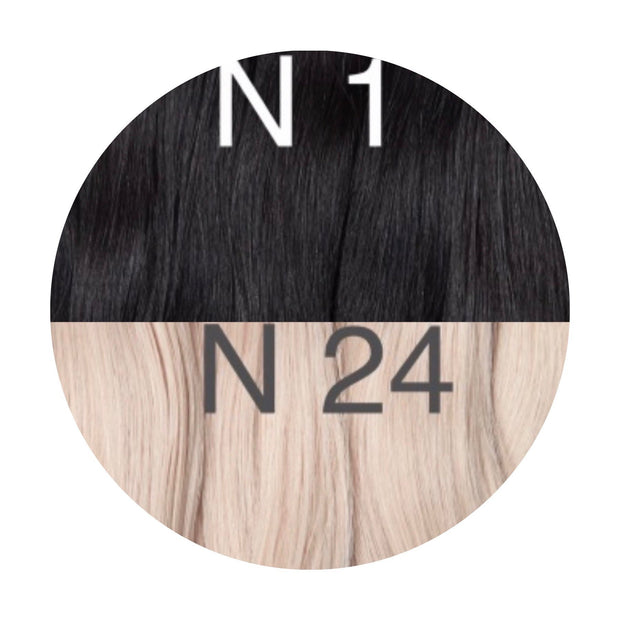 Y tips Color _1/24 GVA hair_One donor line.