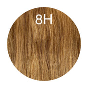 Y tips Color 8H GVA hair_Luxury line.
